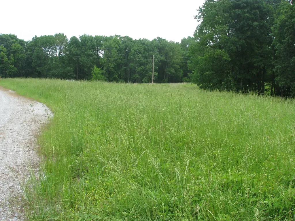 0 Barge Lane Waverly TN 37185