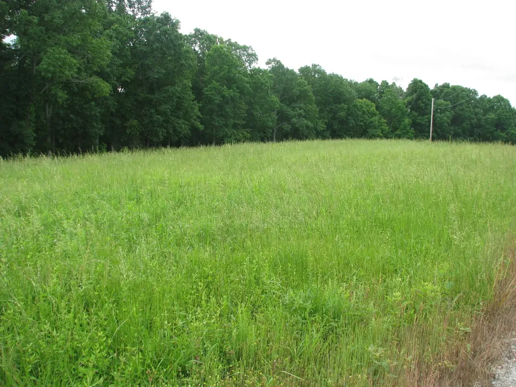 0 Barge Lane Waverly TN 37185