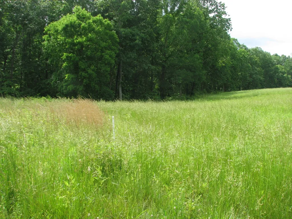 0 Barge Lane Waverly TN 37185