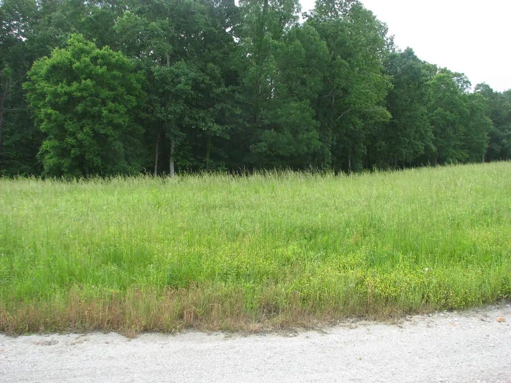 0 Barge Lane Waverly TN 37185