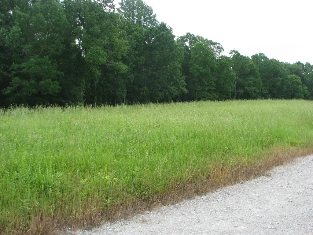 0 Barge Lane Waverly TN 37185