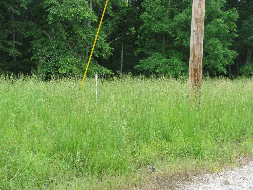 0 Barge Lane Waverly TN 37185