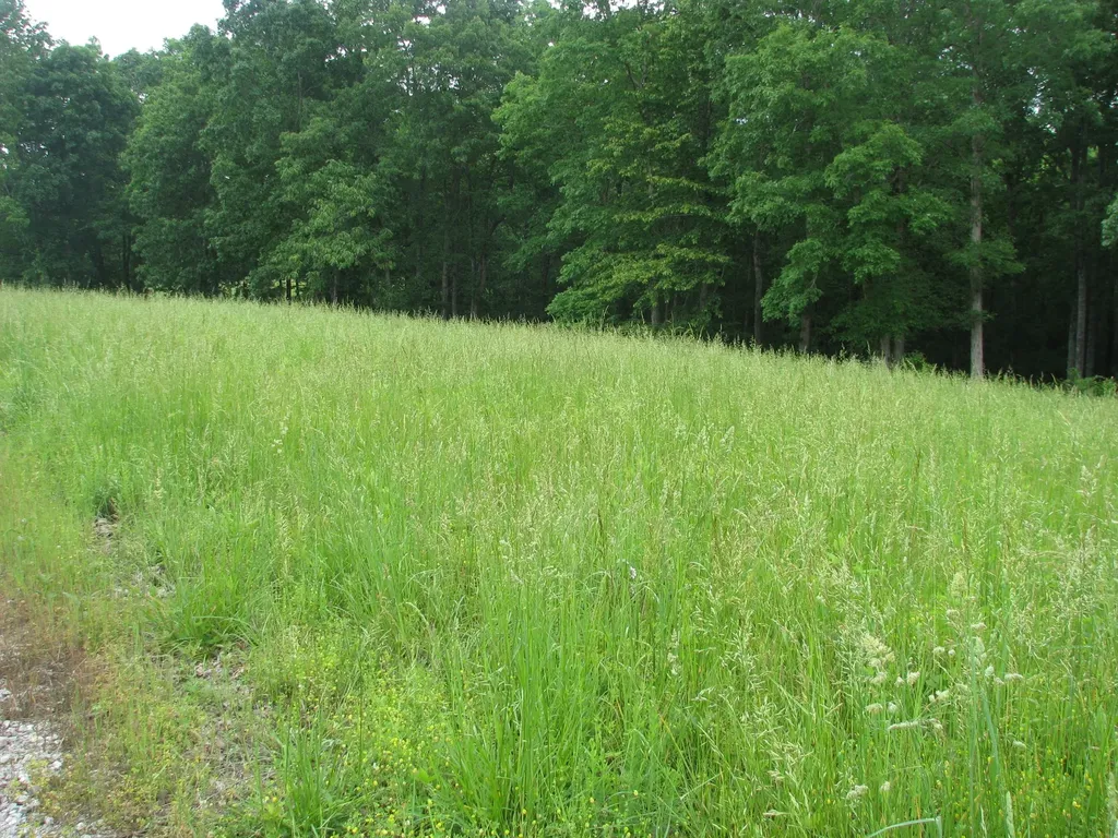 0 Barge Lane Waverly TN 37185