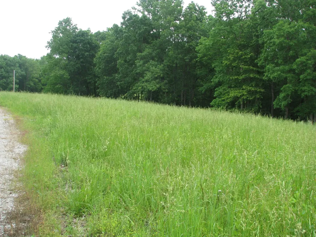0 Barge Lane Waverly TN 37185
