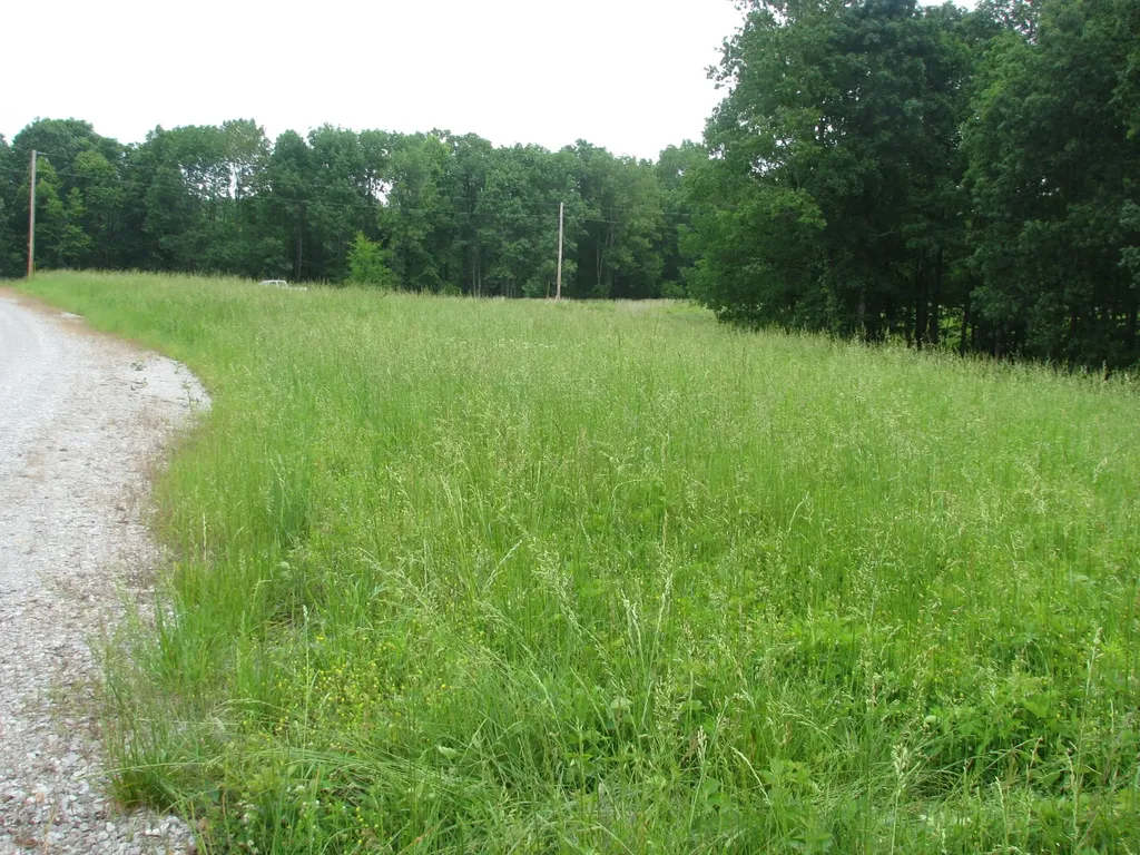 0 Barge Lane Waverly TN 37185