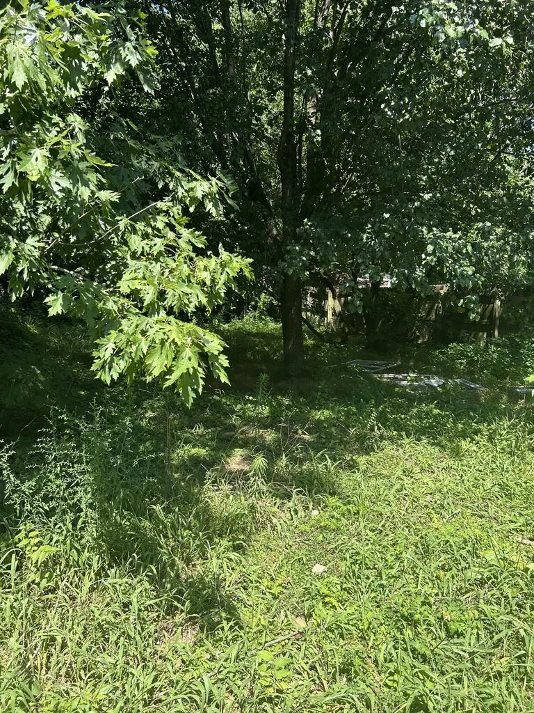 2929 Wingate Avenue Nashville TN 37211