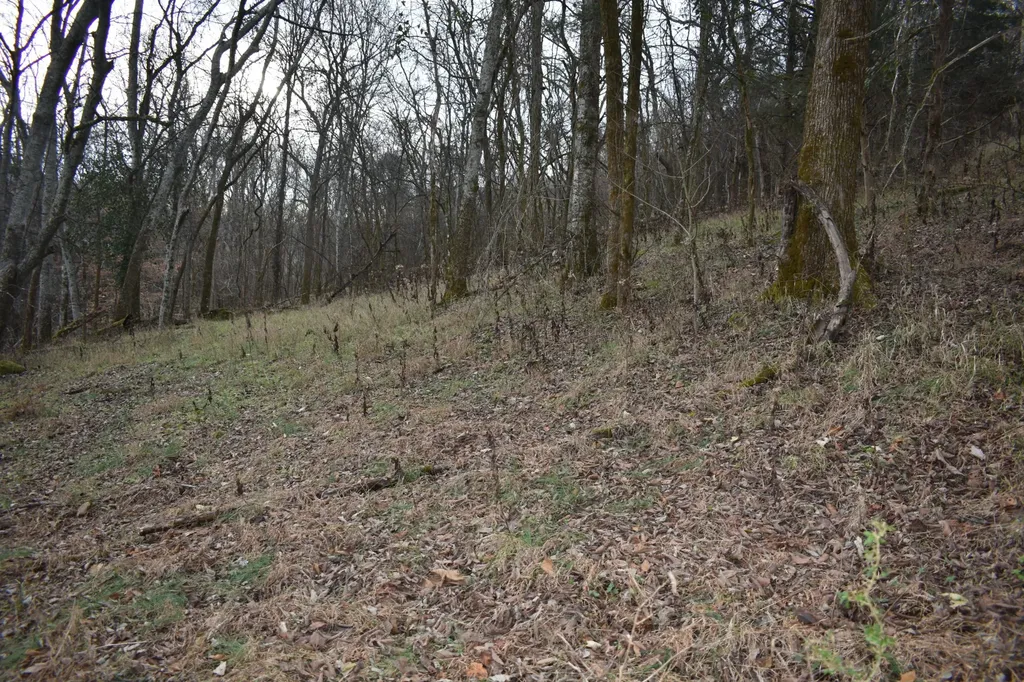 256 Maggart Road Elmwood TN 38560