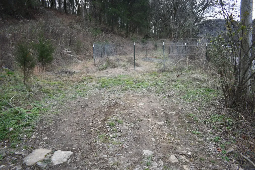 256 Maggart Road Elmwood TN 38560