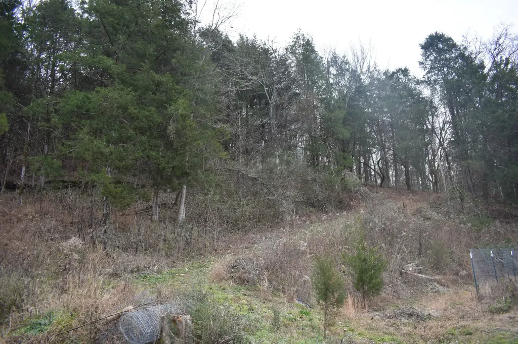 256 Maggart Road Elmwood TN 38560