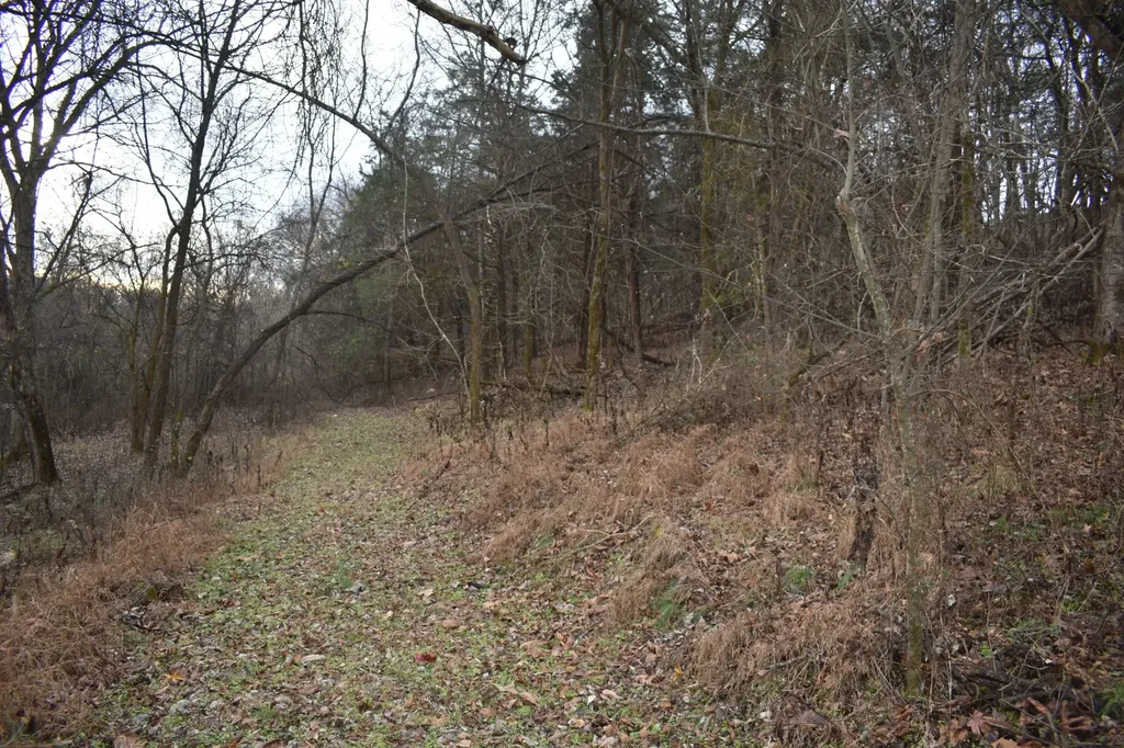 256 Maggart Road Elmwood TN 38560