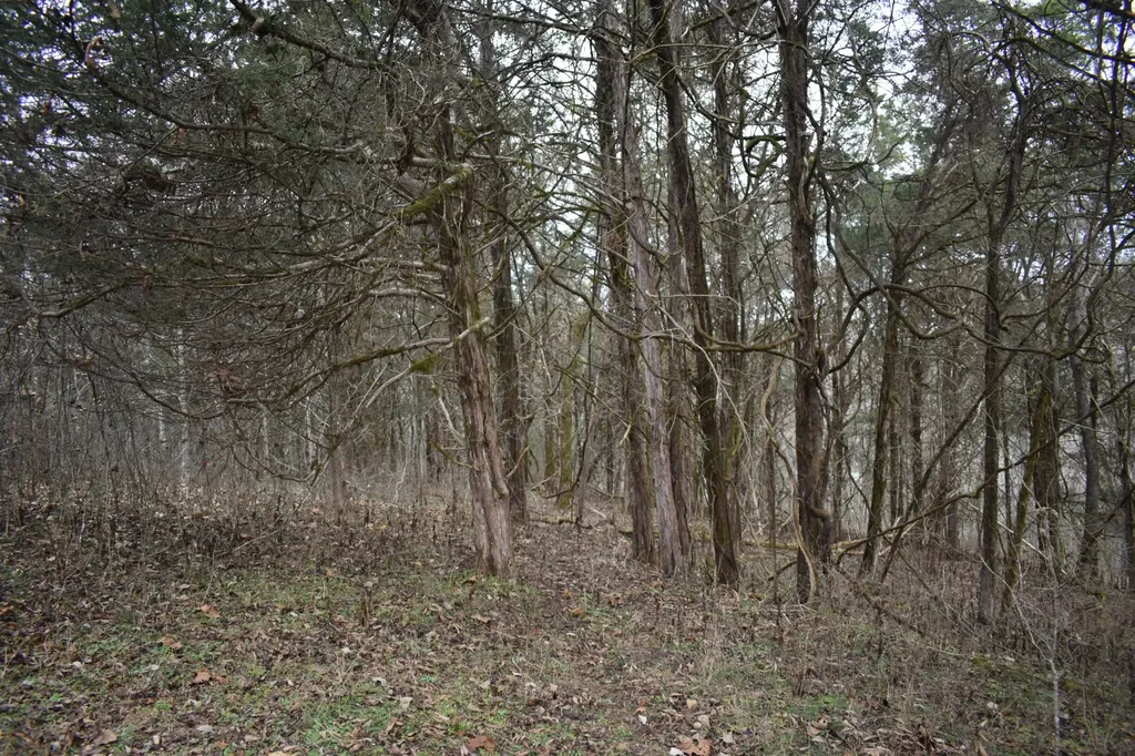 256 Maggart Road Elmwood TN 38560