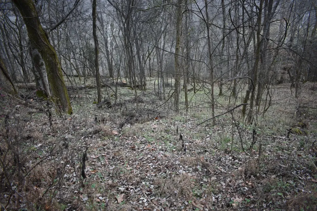 256 Maggart Road Elmwood TN 38560