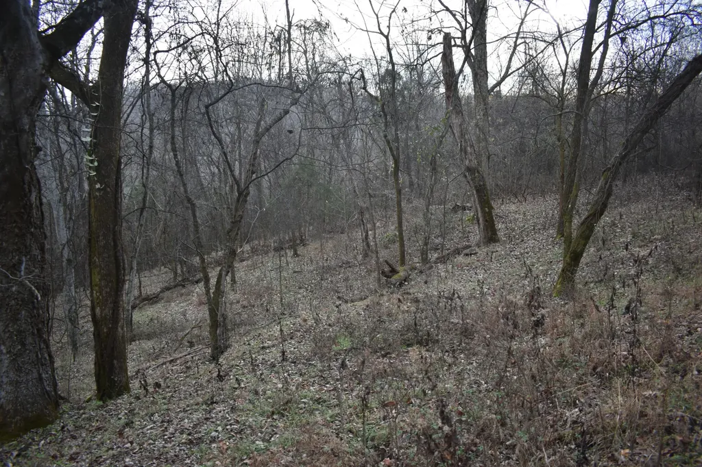 256 Maggart Road Elmwood TN 38560