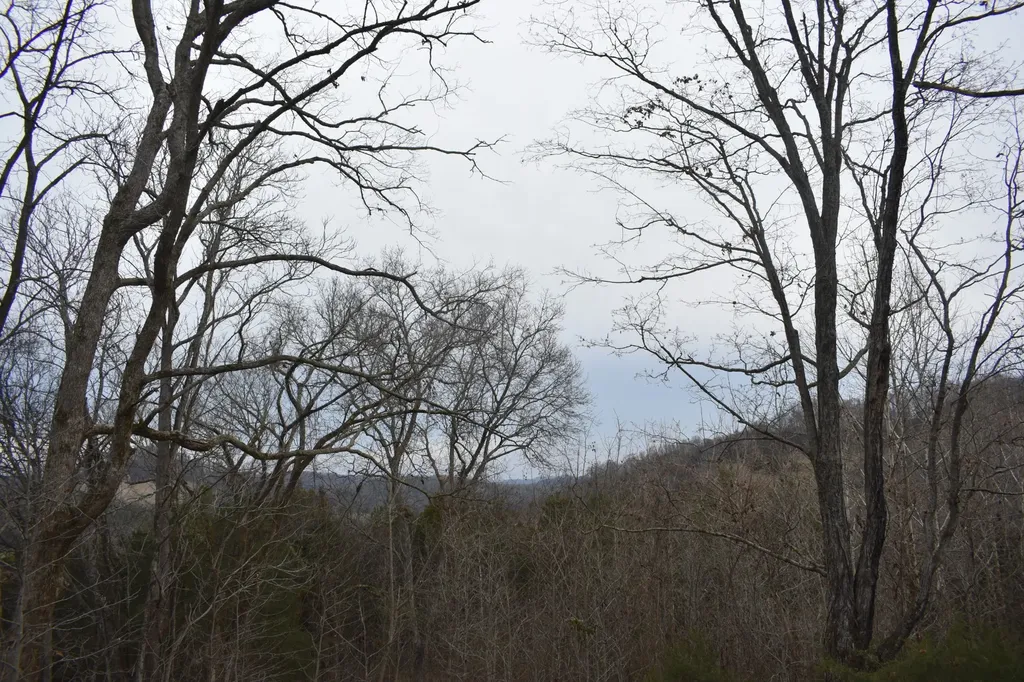 256 Maggart Road Elmwood TN 38560