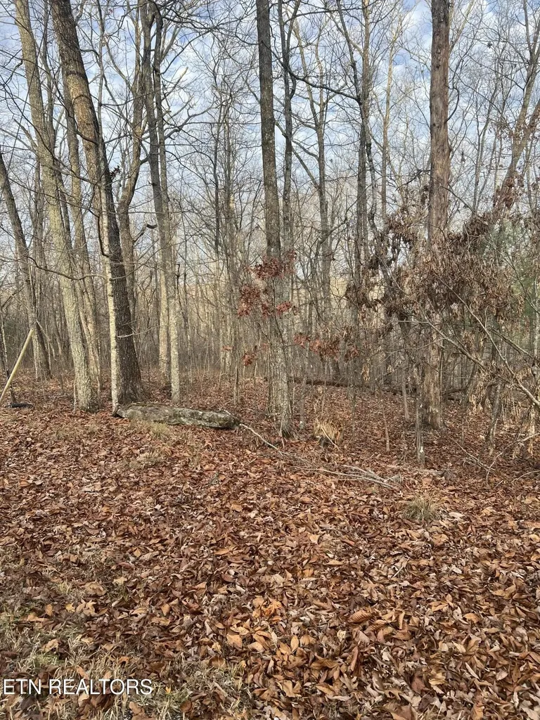 240 Albemarle Circle Crossville TN 38558