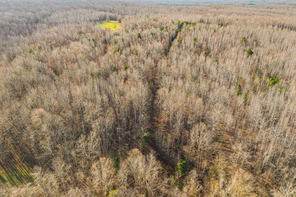 96 Ramery Road Cumberland City TN 37050