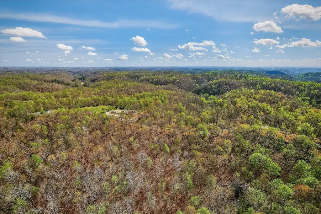 1772 S Fork Road Whitleyville TN 38588