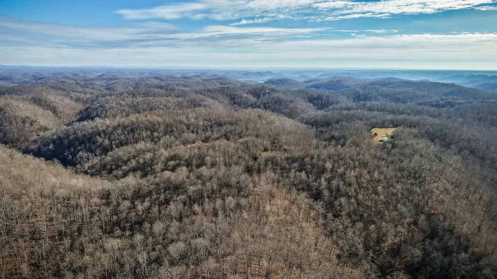 1772 S Fork Road Whitleyville TN 38588