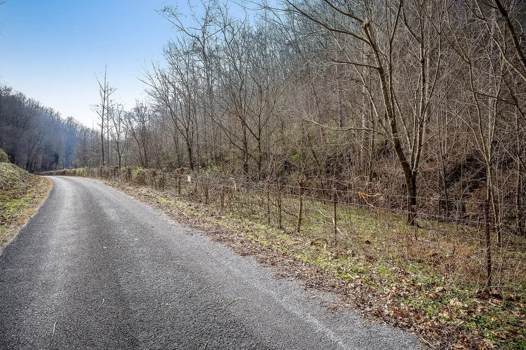 1772 S Fork Road Whitleyville TN 38588