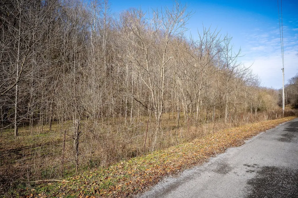 1772 S Fork Road Whitleyville TN 38588