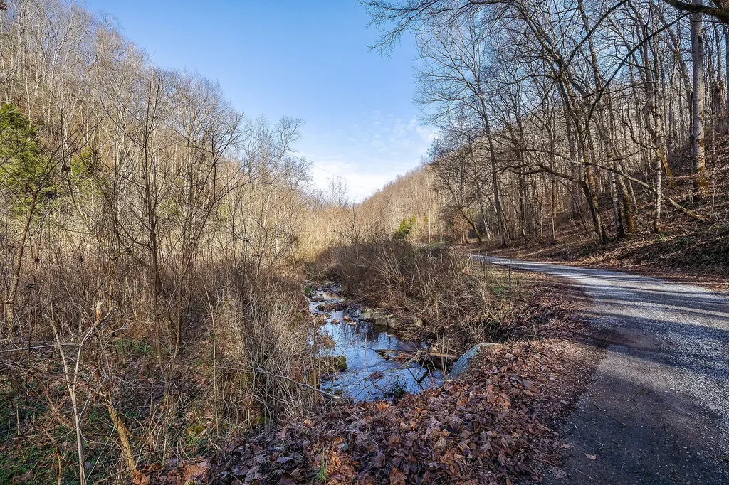 1772 S Fork Road Whitleyville TN 38588