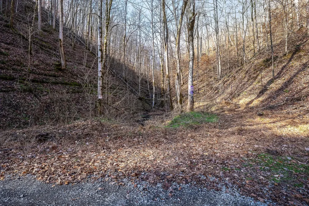 1772 S Fork Road Whitleyville TN 38588