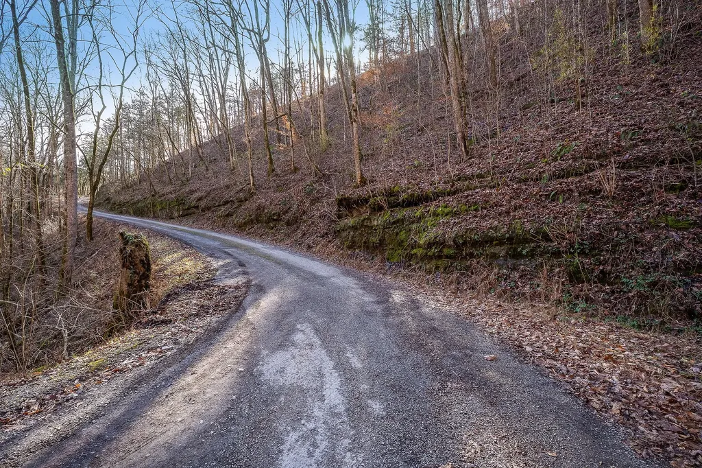 1772 S Fork Road Whitleyville TN 38588
