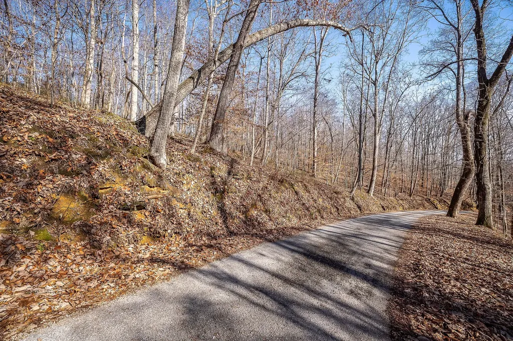 1772 S Fork Road Whitleyville TN 38588