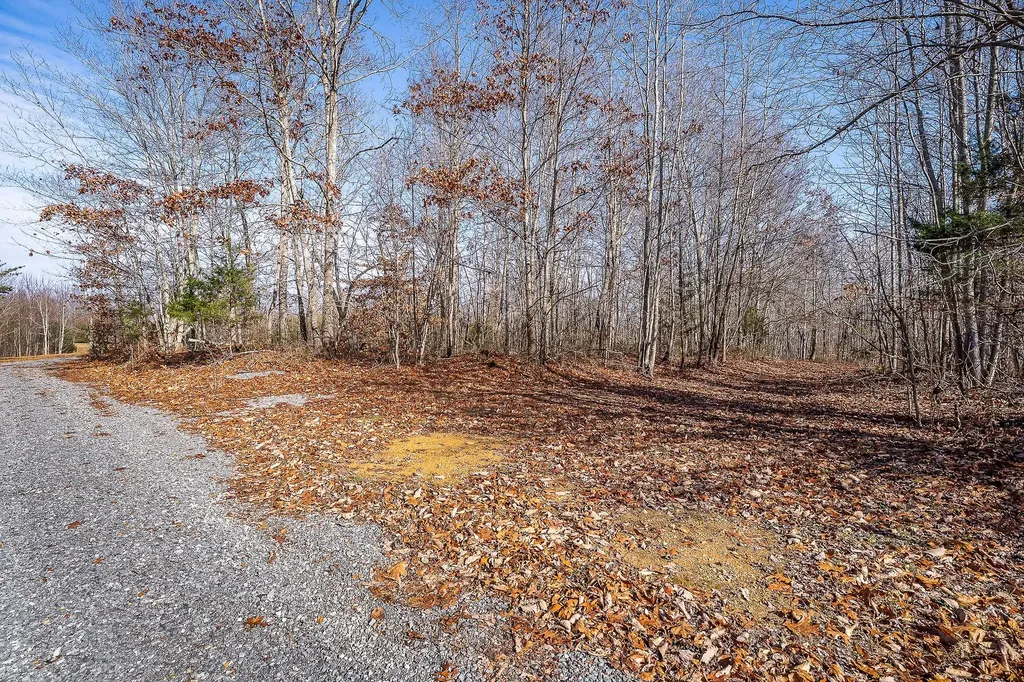 1772 S Fork Road Whitleyville TN 38588
