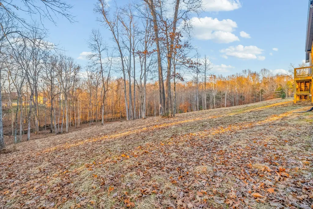 1319 Shady Grove Road Clarksville TN 37043