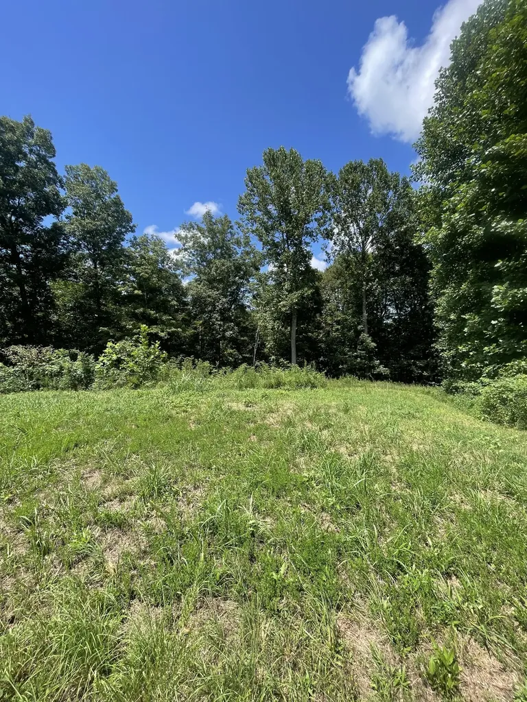 0 White Springs Lane Lafayette TN 37083