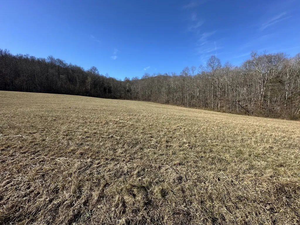 0 Whites Cave Road Sparta TN 38583