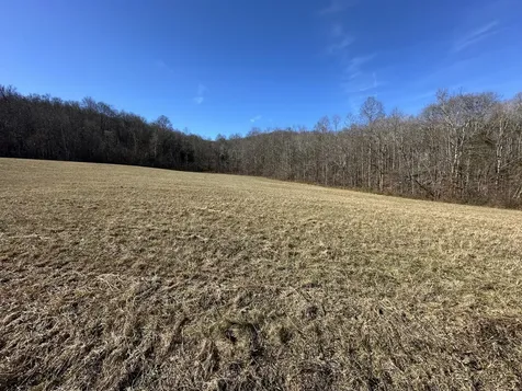 0 Whites Cave Road Sparta TN 38583