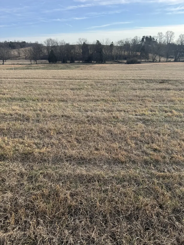 21 Clay County Highway Moss TN 38575