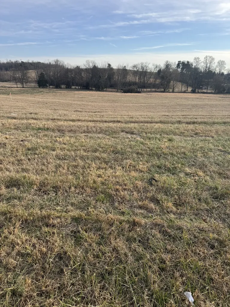 21 Clay County Highway Moss TN 38575