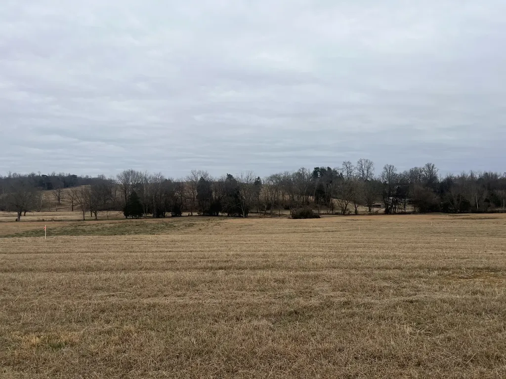 20 Clay County Highway Moss TN 38575