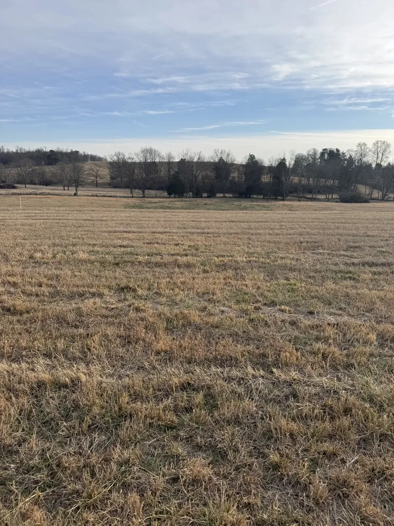 19 Clay County Highway Moss TN 38575