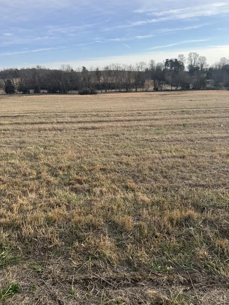 22 Clay County Highway Moss TN 38575