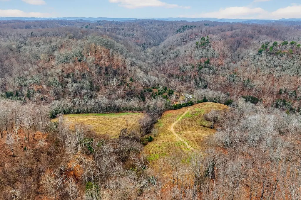 2578 Pea Ridge Road Liberty TN 37095