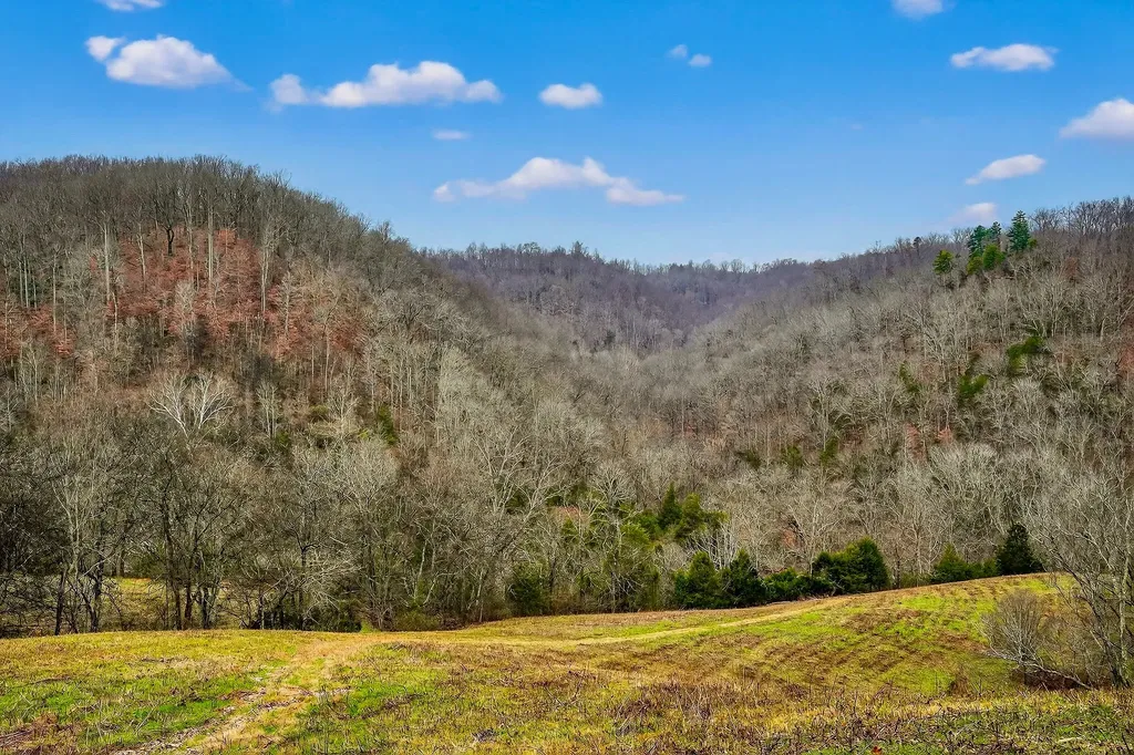 2578 Pea Ridge Road Liberty TN 37095