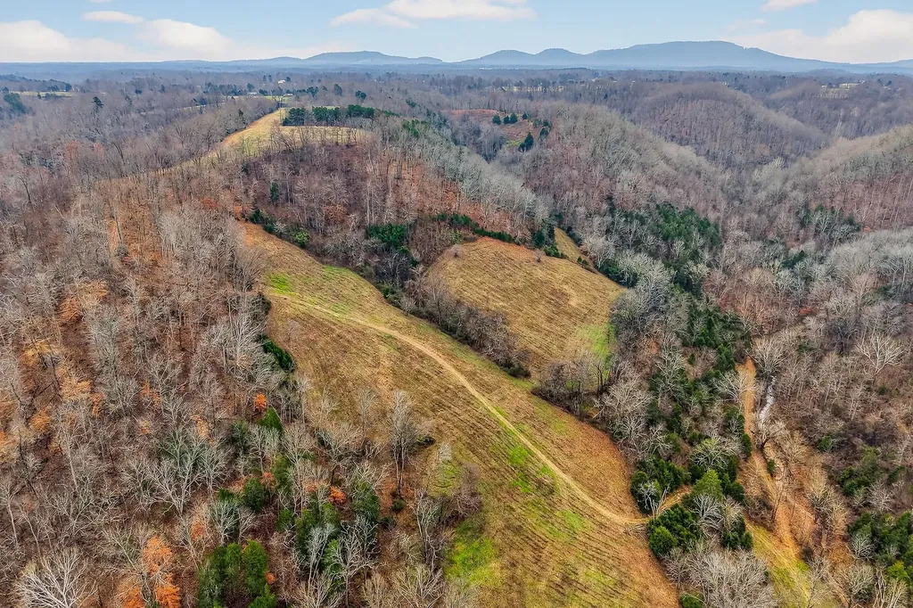 2578 Pea Ridge Road Liberty TN 37095