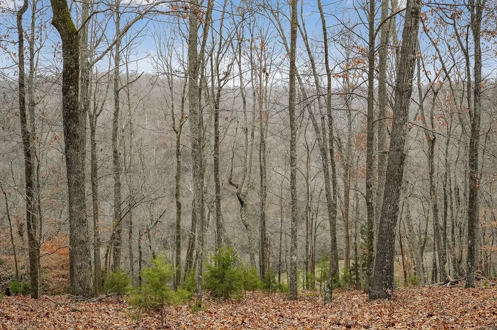 2578 Pea Ridge Road Liberty TN 37095