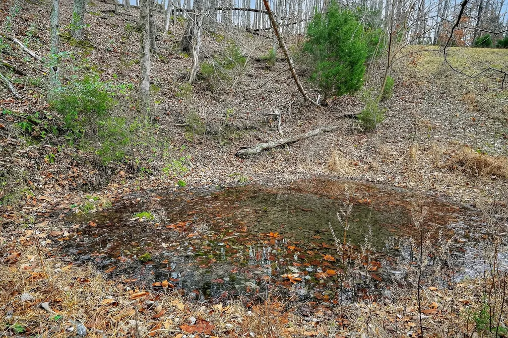 2578 Pea Ridge Road Liberty TN 37095
