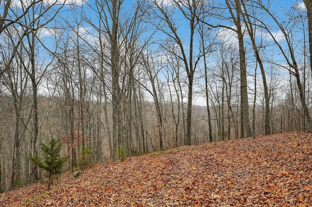 2578 Pea Ridge Road Liberty TN 37095