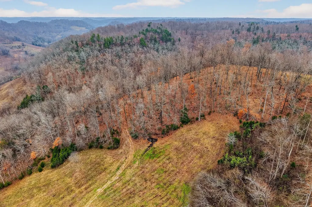 2578 Pea Ridge Road Liberty TN 37095
