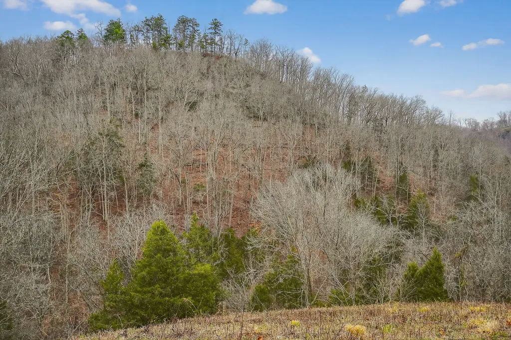 2578 Pea Ridge Road Liberty TN 37095
