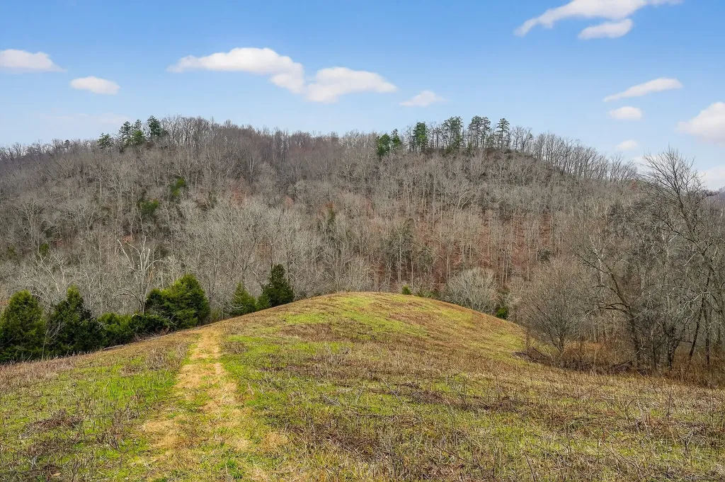 2578 Pea Ridge Road Liberty TN 37095