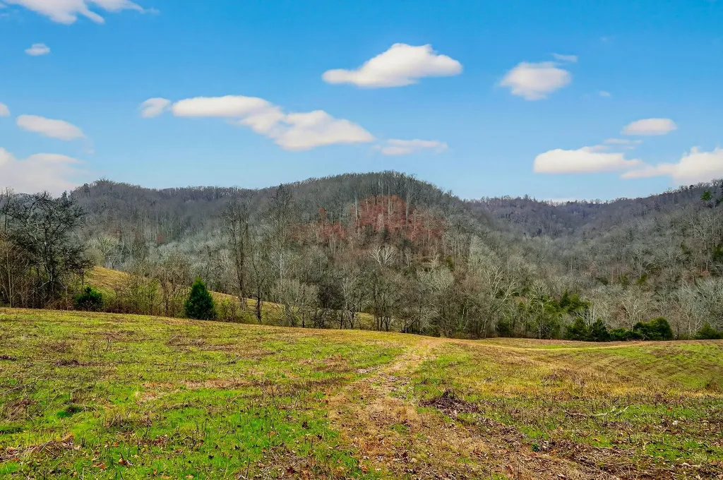 2578 Pea Ridge Road Liberty TN 37095