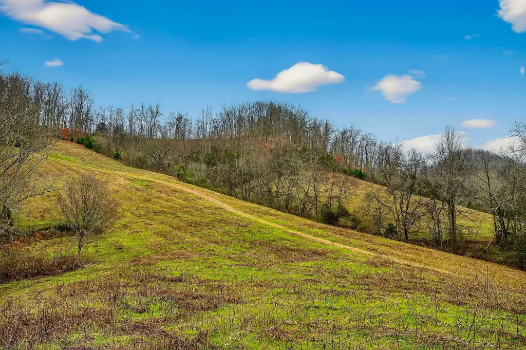 2578 Pea Ridge Road Liberty TN 37095