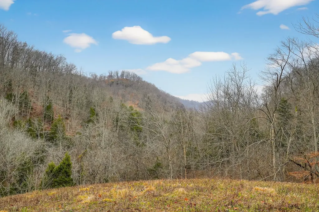 2578 Pea Ridge Road Liberty TN 37095